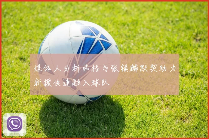 媒体人分析弗格与张镇麟默契助力新援快速融入球队