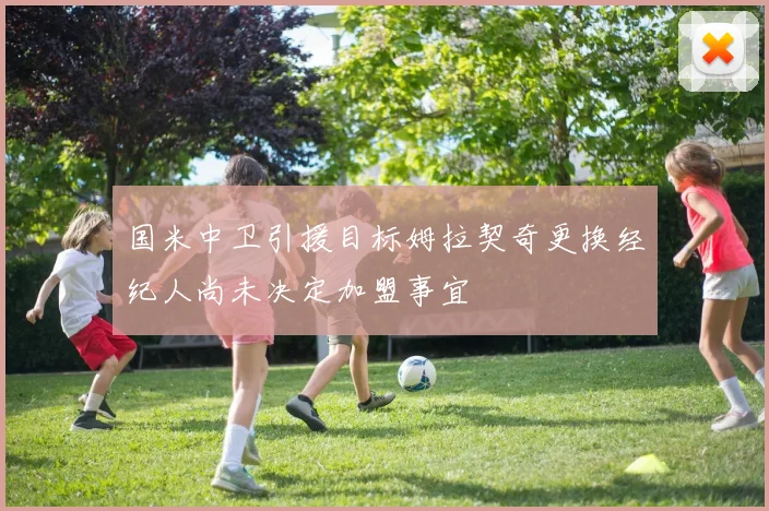 国米中卫引援目标姆拉契奇更换经纪人尚未决定加盟事宜